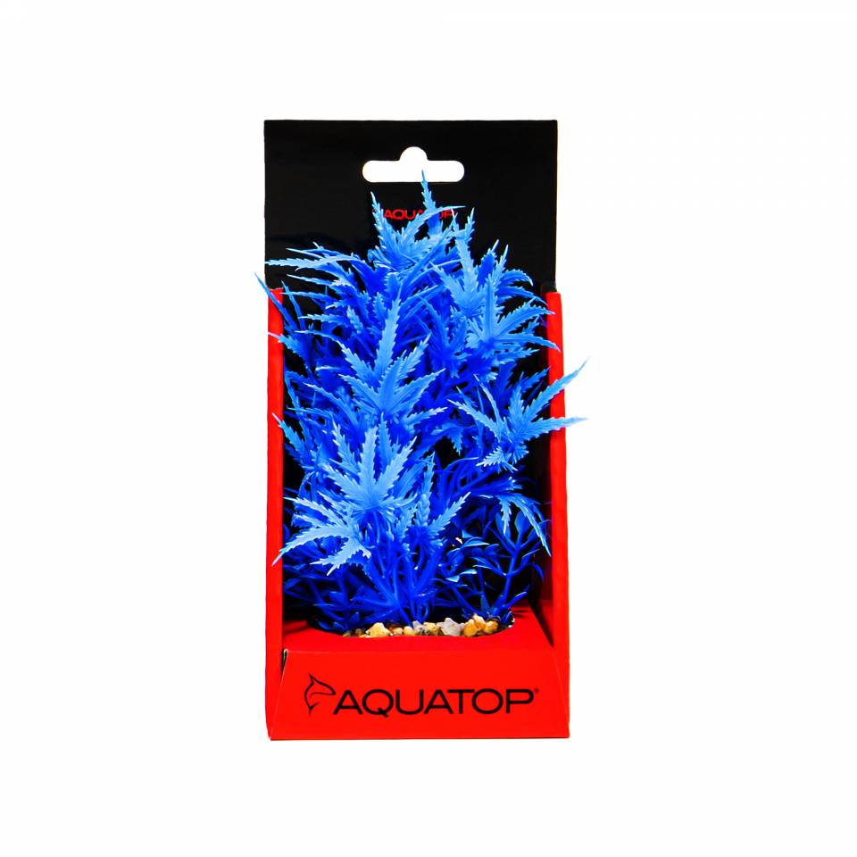 【はるplants】 6-Inch Blue Vibrant Fluorescent Cannabis Plant | Aquatop